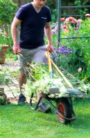 Man with wheelbarrow on way to compost heap 