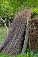 Willow ready for weaving - Brampton Willows