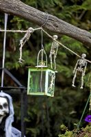 Halloween decoration of hanging skeletons and lantern