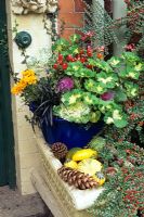 Mix of flowers, foliage and decorative vegetables grouped around a front door - Pelargonium 'Happy Thought' with peppers, ornamental cabbage and kale, Ophiopogon nigrescens and French marigolds in a blue bowl