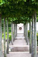 Avenue of Fagus sylvatica, leading to a focal point of a sculpture - The Laurent-Perrier Garden, Sponsored by Champagne Laurent-Perrier - Gold medal winner at RHS Chelsea Flower Show 2009 
