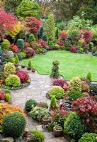 Acers and many deciduous trees and shrubs grown for their foliage, showing stunning autumnal tints and hues with wide variety of evergreens and Conifers around patio - Four Seasons Garden NGS, Walsall, Staffordshire 
