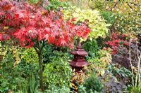 Evergreen shrubs, Acers and many deciduous trees and shrubs grown for their foliage, showing stunning autumnal tints and hues in Japanese style garden - Four Seasons Garden NGS, Walsall, Staffordshire 