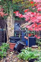Compost bins and work area Japanese garden in autumn with Acers and many deciduous trees and shrubs grown for their foliage showing stunning Autumnal tints and hues at Four Seasons Garden (NGS) Near Walsall Staffordshire 
