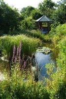 Summerhouse overlooking wildlife pond- Wild Rose Cottage, Lode, Cambridge