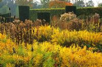 Seedheads and autumn foliage of perennials and grasses including Amsonia salicifolia, Eupatorium cannabinum, Verbena hastata and Rudbeckia maxima in Piet Oudolf's garden, Hummelo, The Netherlands