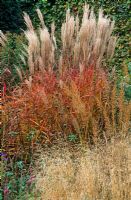 Autumn border with foliage of grasses and perennials including Miscanthus sinensis 'Flammenmeer', Calamagrostis, Deschampsia cespitosa 'Goldschleier' and Monarda 'Oudolf's Charm' in Piet Oudolf's garden, Hummelo, The Netherlands
