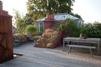 Wide view of roof terrace and conservatory in early morning sunlight. Backlit   Miscanthus sinensis 'Gracillimus', Betula utilis var.jacquemontii, underplanted with Carex 'Frosty Curls' and Erigeron
karvinskianus  and sedum roof. Rusty metal central chimney water feature, wooden table and benches