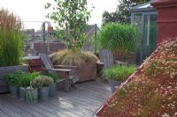 Adirondack chairs with large wooden containers planted with Betula utilis var. jacquemontii,underplanted with Carex 'Frosty Curls' and Erigeron karvinskianus, Miscanthus sinensis 'Gracillimus', Calamagrostis x acutiflora 'Karl Foerster'. Sedum roof and pots of herbs with old watering can.