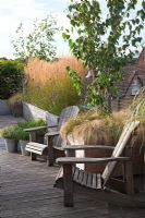 Adirondack chairs with large wooden containers planted with Betula utilis var. jacquemontii,underplanted with Carex 'Frosty Curls' and Erigeron karvinskianus, Miscanthus sinensis 'Gracillimus', Calamagrostis x acutiflora 'Karl Foerster'. Pots of herbs with old watering can.