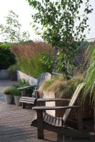 Adirondack chairs with large wooden containers planted with Betula
utilis var. jacquemontii,underplanted with Carex 'Frosty Curls' and Erigeron
karvinskianus, Miscanthus sinensis 'Gracillimus', Calamagrostis x acutiflora
'Karl Foerster'.  pots of herbs with old watering can - Roof Terrace Garden