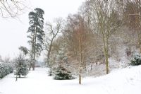 Trees in snow at Honeybrook House Cottage, Worcestershire