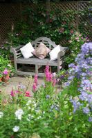 Small urban garden packed full of plants. Lutyens style bench with cushions on paved area, seen through Campanula lactiflora and Lythrum salicaria 'Zigeunerblut'.