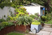 A quirky town garden in May filled with antique objects and Alliums. Raised beds contain Phormium, Alliums, Golden Hop, Carex buchanii and Pulmonaria. Small lawn and brick and york stone paths lead to rustic shed painted blue.