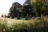 Buxus - Box parterre contains clipped umbrella Laurel bushes and Santolina with Taxus - Yew pyramids. Lawn leading into surrounding countryside across ha-ha. Remains of summer herbaceous border in foreground. Private garden, Pulham, Dorset, UK. October.