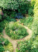 Overview qith gravel path curving round an island bed of hemerocallis 'Sammy Russell', Iris sibirica 'Sky Wings', Clematis 'Etoile Violette', Solanum Jasminoides, painted blue chairs under Eccremocarpus scaber.