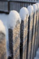 Wooden garden fence with frost and snow