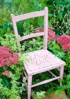 Pink chair with Sedum and apple mint