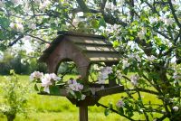 Bird table under blossoming apple tree 