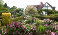 Eastgrove Cottage garden - Roses 'De Resht', R. 'Président de Sèze' R. 'Petite de Hollande',  R. 'Elizabeth of Glamis', R. 'Tuscany Superb' and R. 'Eglantyne' in the Secret Garden with the cottage in the background
