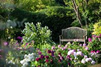 Eastgrove Cottage garden - View over the Secret Garden to bench and Philadelphus 'Belle Etoile'