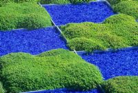 Squares of recycled glass used as paving with Soleirolia growing in alternate sqaures. RHS Chelsea Flower Show 2000