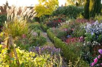 Late summer herbaceous borders with Asters, Dahlias, Miscanthus, Salvias and Sedums, brick path edged with box