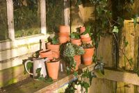 Clay pots in potting shed