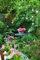 Summer garden with roses displayed on table 