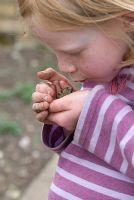 Young girl holding a common frog and blowing it a kiss