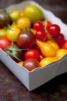 Selection of tomato varieties in cardboard container