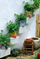 Pelargoniums growing in tins on 'steps' in wall. Lebanese Courtyard designed by Nada Habet at 2006 Chelsea Flower Show