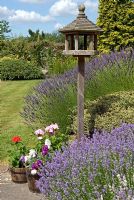 Bird table amongst Lavenders, Hebe and container planting of Geraniums and Matthiola - Stocks
