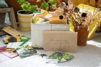 Seeds and seed box on potting bench
