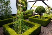 Small formal garden with clipped box hedging, Laurus nobilis standards and Lathyrus