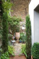 Small urban courtyard garden in London with yorkstone paving, fastigiate conifers and box in side passage 