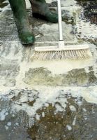 Path cleaning - Flood the area with hot soapy water and using a stiff broom remove the unwanted dirt and bacteria