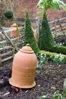 Rhubarb forcing pot in the vegetable garden and Galanthus - Dial Park, Chaddesley Corbett, Worcestershire
