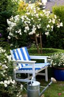 Seat in summer rose garden