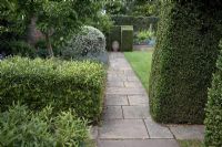 Clipped evergreens including box and Sarcococca with path leading to urn - Hatfield House, Hertfordshire