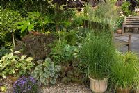 Attractive pots on gravelled area with Buxus standard, Fatsia japonica, Washingtonia robusta, Acer palmatum, Persicaria 'Painter's palette', Heuchera Green Spice, Hosta, Dicentra scandens, assorted grasses and Campanula - 'Wedgwood' NGS garden, Lancashire