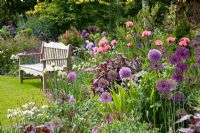 Wooden bench and borders of Allium 'Purple Sensation',  Allium 'Globemaster', Papaver orientale 'Raspberry Queen', Iris barbata 'Susan Bliss'