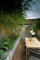 Small urban courtyard garden. Bamboo in raised bed. Dining area with Orchid on table. Bermondsey, London, UK