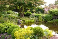 Large pond and borders of Alchemilla mollis, Viburnum, Cornus kousa 'Satomi' and clipped Buxus - Box balls