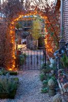 Garden gate under lit up arch