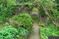 Brick pathway leading through the kitchen garden, edged with hellebores and primroses - Greencombe Garden, Porlock, Somerset, UK