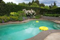 Swimming pool - Breedenbroek, New Zealand