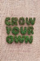 Lepidium sativum - Sprouted cress spelling the phrase 'Grow your own' on a hessian sack 