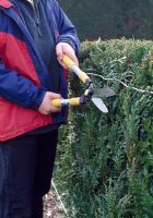 Hedge trimming. If you find it hard to cut hedges, put up two canes to the desired shape. Attach two lines between them to act as guidelines.
