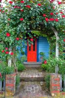Entrance to cottage with Rosa growing on arch above path. No. 11, Christchurch, New Zealand